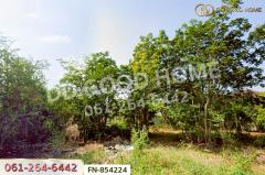FN-854224 ที่ดินหมู่บ้านพุทธมณฑลแลนด์ ศาลายา 86 ตร.ว. นครปฐม ใกล้เซ็นทรัลนครปฐม-202509041428471756970927496.jpg