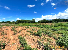 ขายที่ดิน 18 ไร่ เวียงชัย เชียงราย วิวภูเขา ติดห้วยธรรมชาติ-202509041451001756972260090.png