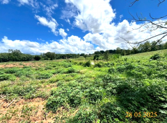 ขายที่ดิน 18 ไร่ เวียงชัย เชียงราย วิวภูเขา ติดห้วยธรรมชาติ-202509041451011756972261161.png