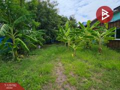 ขายที่ดิน เนื้อที่ 1 งาน 46.2 ตร.วา แพรกษา สมุทรปราการ-202509041500291756972829663.jpg