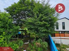 ขายที่ดิน เนื้อที่ 1 งาน 46.2 ตร.วา แพรกษา สมุทรปราการ-202509041500301756972830192.jpg