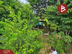 ขายที่ดิน เนื้อที่ 1 งาน 46.2 ตร.วา แพรกษา สมุทรปราการ-202509041500301756972830741.jpg