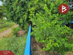 ขายที่ดิน เนื้อที่ 1 งาน 46.2 ตร.วา แพรกษา สมุทรปราการ-202509041500311756972831297.jpg