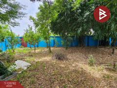 ขายที่ดิน เนื้อที่ 1 งาน 46.2 ตร.วา แพรกษา สมุทรปราการ-202509041500321756972832368.jpg