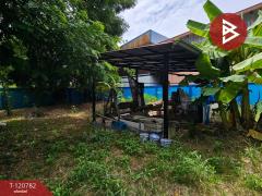 ขายที่ดิน เนื้อที่ 1 งาน 46.2 ตร.วา แพรกษา สมุทรปราการ-202509041500321756972832901.jpg