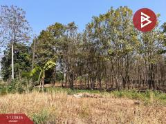 ขายที่ดิน-เนื้อที่-10-ไร่-2-งาน-86-ตร.วา-ศ