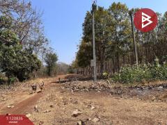 ขายที่ดิน เนื้อที่ 10 ไร่ 2 งาน 86 ตร.วา ศรีบัวบาน ลำพูน-202509041513051756973585405.jpg