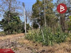 ขายที่ดิน เนื้อที่ 10 ไร่ 2 งาน 86 ตร.วา ศรีบัวบาน ลำพูน-202509041513051756973585931.jpg