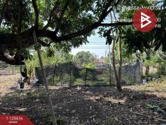 ขายที่ดิน เนื้อที่ 10 ไร่ 2 งาน 86 ตร.วา ศรีบัวบาน ลำพูน-202509041513071756973587304.jpg