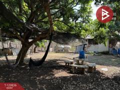 ขายที่ดิน เนื้อที่ 10 ไร่ 2 งาน 86 ตร.วา ศรีบัวบาน ลำพูน-202509041513071756973587838.jpg