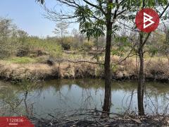 ขายที่ดิน เนื้อที่ 10 ไร่ 2 งาน 86 ตร.วา ศรีบัวบาน ลำพูน-202509041513081756973588628.jpg