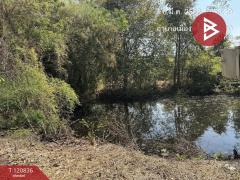 ขายที่ดิน เนื้อที่ 10 ไร่ 2 งาน 86 ตร.วา ศรีบัวบาน ลำพูน-202509041513111756973591911.jpg