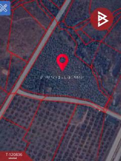 ขายที่ดิน เนื้อที่ 10 ไร่ 2 งาน 86 ตร.วา ศรีบัวบาน ลำพูน-202509041513121756973592967.jpg