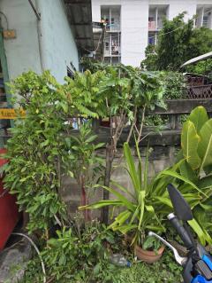 ขายบ้านเดี่ยว เนื้อที่ 73 ตร.วา พานทอง ชลบุรี-202509041533201756974800939.jpg