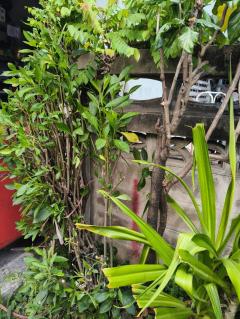 ขายบ้านเดี่ยว เนื้อที่ 73 ตร.วา พานทอง ชลบุรี-202509041533231756974803206.jpg