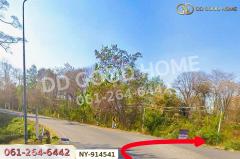 NY-914541 ที่ดินบึงสามพัน 100 ตร.ว. เพชรบูรณ์ ใกล้วัดบึงสามพันล่าง-202509041624231756977863486.jpg