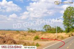 NY-914541 ที่ดินบึงสามพัน 100 ตร.ว. เพชรบูรณ์ ใกล้วัดบึงสามพันล่าง-202509041624241756977864596.jpg