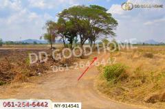NY-914541 ที่ดินบึงสามพัน 100 ตร.ว. เพชรบูรณ์ ใกล้วัดบึงสามพันล่าง-202509041624251756977865157.jpg