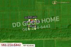 NY-914541 ที่ดินบึงสามพัน 100 ตร.ว. เพชรบูรณ์ ใกล้วัดบึงสามพันล่าง-202509041624261756977866802.jpg