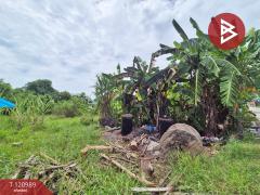 ขายที่ดินเปล่า-เนื้อที่-50-ตารางวา-มา