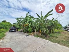 ขายที่ดินเปล่า เนื้อที่ 50 ตารางวา มาบโป่ง พานทอง ชลบุรี-202509041645251756979125297.jpg