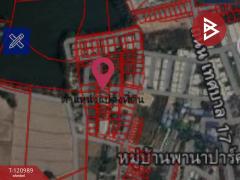 ขายที่ดินเปล่า เนื้อที่ 50 ตารางวา มาบโป่ง พานทอง ชลบุรี-202509041645261756979126327.jpg