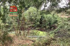  ที่ดินเปล่า เนื้อที่ 3-0-88 ไร่ ซ.เปลี่ยนเหมาะ (แยกด่านสิงขร) ถนนเพชรเกษม ต.คลองวาฬ อ.เมือง จ.ประจวบคีรีขันธ์-202509041657241756979844580.jpg