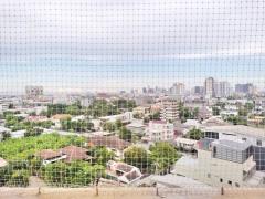 ให้เช่า คอนโด TaiPing Towers สุขุมวิท 63 (ไท ปิง ทาวเวอร์ส สุขุมวิท 63) 130 ตรม. 3นอน 2น้ำ ชี้น 7 วิวโล่ง ใกล้btsเอกมัย.