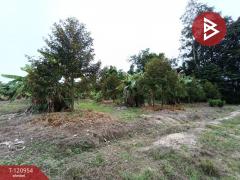 ขายที่ดินพร้อมสวน-เนื้อที่-11-ไร่-6-ตร.