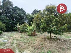 ขายที่ดินพร้อมสวน เนื้อที่ 11 ไร่ 6 ตร.วา นาตาขวัญ ระยอง-202509051016291757042189823.jpg