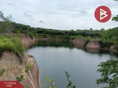 ขายที่ดินพร้อมสวน เนื้อที่ 11 ไร่ 6 ตร.วา นาตาขวัญ ระยอง-202509051016301757042190370.jpg