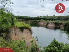 ขายที่ดินพร้อมสวน เนื้อที่ 11 ไร่ 6 ตร.วา นาตาขวัญ ระยอง-202509051016311757042191930.jpg