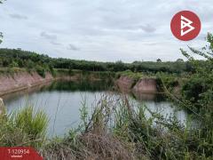 ขายที่ดินพร้อมสวน เนื้อที่ 11 ไร่ 6 ตร.วา นาตาขวัญ ระยอง-202509051016321757042192450.jpg