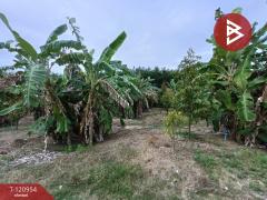 ขายที่ดินพร้อมสวน เนื้อที่ 11 ไร่ 6 ตร.วา นาตาขวัญ ระยอง-202509051016321757042192970.jpg