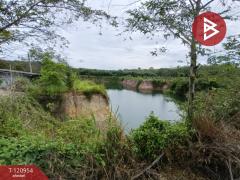 ขายที่ดินพร้อมสวน เนื้อที่ 11 ไร่ 6 ตร.วา นาตาขวัญ ระยอง-202509051016331757042193486.jpg