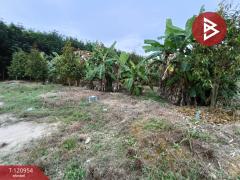 ขายที่ดินพร้อมสวน เนื้อที่ 11 ไร่ 6 ตร.วา นาตาขวัญ ระยอง-202509051016341757042194019.jpg