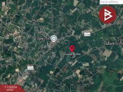 ขายที่ดินพร้อมสวน เนื้อที่ 11 ไร่ 6 ตร.วา นาตาขวัญ ระยอง-202509051016341757042194544.jpg