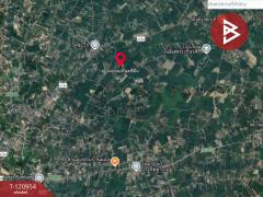 ขายที่ดินพร้อมสวน เนื้อที่ 11 ไร่ 6 ตร.วา นาตาขวัญ ระยอง-202509051016351757042195069.jpg