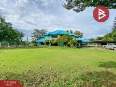 ขายบ้านเดี่ยวพร้อมกิจการ เนื้อที่ 11 ไร่ 3 งาน 12.7 ตารางวา อ.บ้านไผ่ ขอนแก่น ทำเลดี-202509051029321757042972630.jpg