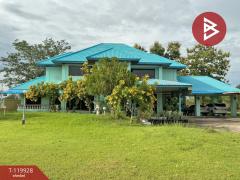 ขายบ้านเดี่ยวพร้อมกิจการ เนื้อที่ 11 ไร่ 3 งาน 12.7 ตารางวา อ.บ้านไผ่ ขอนแก่น ทำเลดี-202509051029331757042973152.jpg