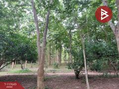  ขายที่ดินพร้อมสิ่งปลูกสร้าง เนื้อที่ 32 ไร่ 2 งาน 61 ตร.วา ภูเวียง ขอนแก่น-202509051105371757045137635.jpg