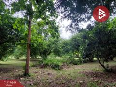  ขายที่ดินพร้อมสิ่งปลูกสร้าง เนื้อที่ 32 ไร่ 2 งาน 61 ตร.วา ภูเวียง ขอนแก่น-202509051105381757045138174.jpg