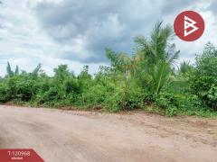 ขายที่ดิน-เนื้อที่-1-งาน-74.5-ตร.วา-บางขั