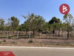 ขายที่ดินแปลงสวย-เนื้อที่-9-ไร่-2-งาน-45