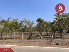 ขายที่ดินแปลงสวย เนื้อที่ 9 ไร่ 2 งาน 45.5 ตร.วา ศรีบัวบาน ลำพูน-202509051138211757047101993.jpg