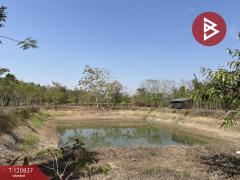 ขายที่ดินแปลงสวย เนื้อที่ 9 ไร่ 2 งาน 45.5 ตร.วา ศรีบัวบาน ลำพูน-202509051138261757047106457.jpg