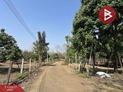 ขายที่ดินแปลงสวย เนื้อที่ 9 ไร่ 2 งาน 45.5 ตร.วา ศรีบัวบาน ลำพูน-202509051138261757047106996.jpg