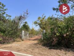 ขายที่ดินแปลงสวย เนื้อที่ 9 ไร่ 2 งาน 45.5 ตร.วา ศรีบัวบาน ลำพูน-202509051138271757047107517.jpg