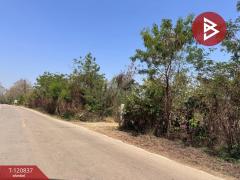 ขายที่ดินแปลงสวย เนื้อที่ 9 ไร่ 2 งาน 45.5 ตร.วา ศรีบัวบาน ลำพูน-202509051138281757047108048.jpg