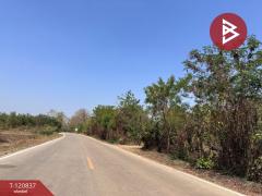 ขายที่ดินแปลงสวย เนื้อที่ 9 ไร่ 2 งาน 45.5 ตร.วา ศรีบัวบาน ลำพูน-202509051138281757047108581.jpg